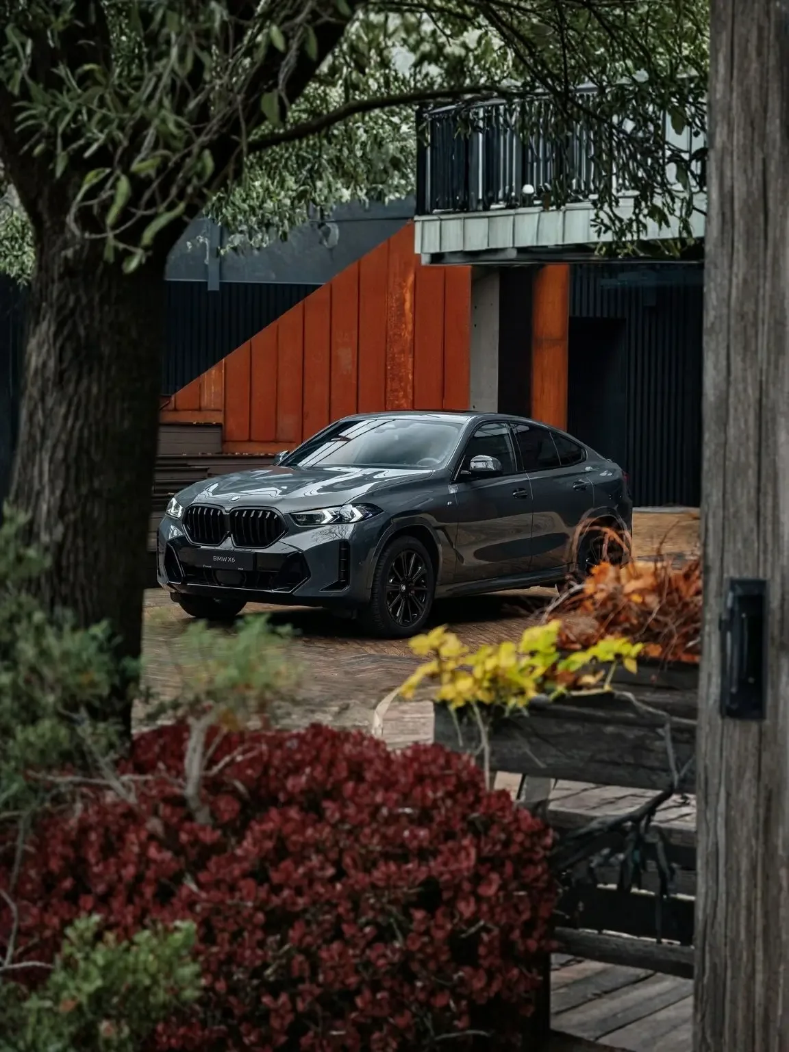 BMW X6 main banner